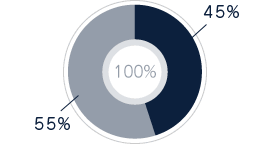 眼科45%　その他55%