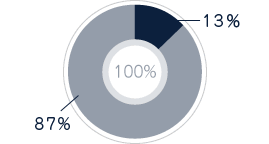 整形外科13%　その他87%