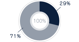 小児科29%　その他71%